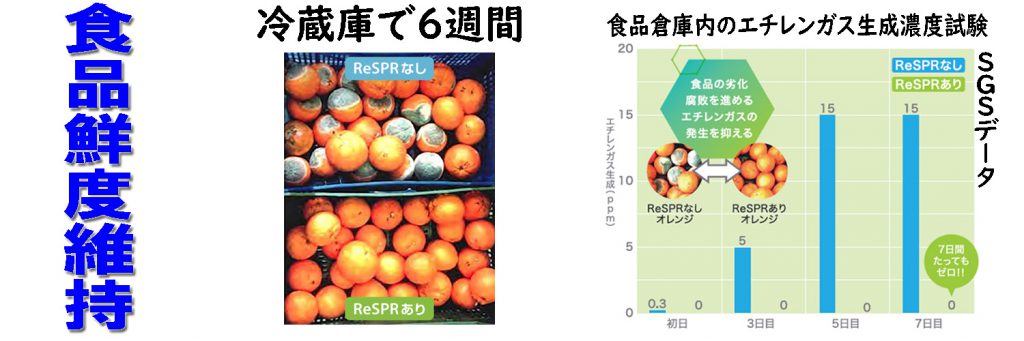 画像に alt 属性が指定されていません。ファイル名: スライドショー2-1024x341.jpg